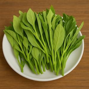 白鳳菜