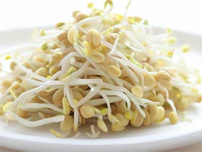 綠豆芽