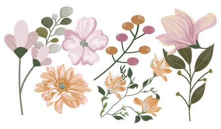 萬年青花