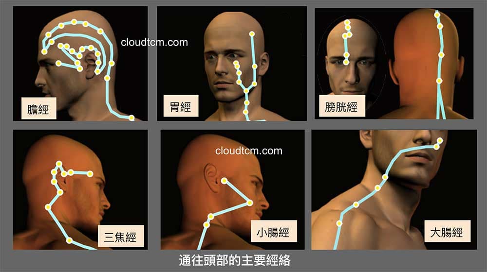 通往頭部的經絡，最主要的6條都是屬於陽經