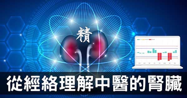 從腎經組成的經絡型態，理解中醫的「腎臟」究竟是什麼？