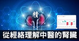 從腎經組成的經絡型態，理解中醫的「腎臟」究竟是什麼？