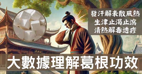從大數據及經絡角度理解「葛根」的4種強大功效！