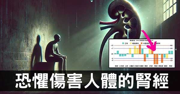 從腎經虛證看「腎主驚恐」的情緒與個性現象！