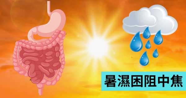 暑濕困阻中焦