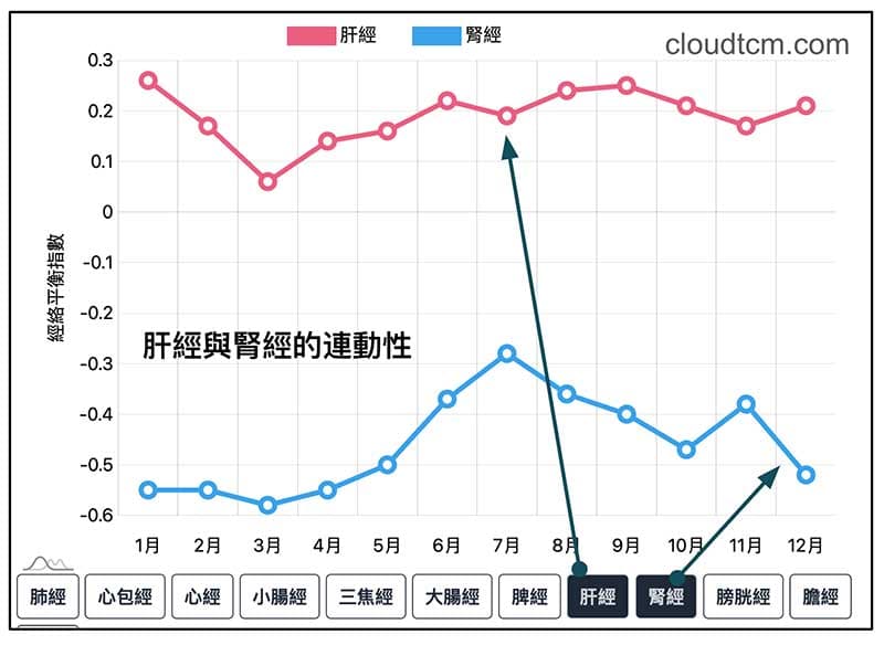 肝經與腎經連動性
