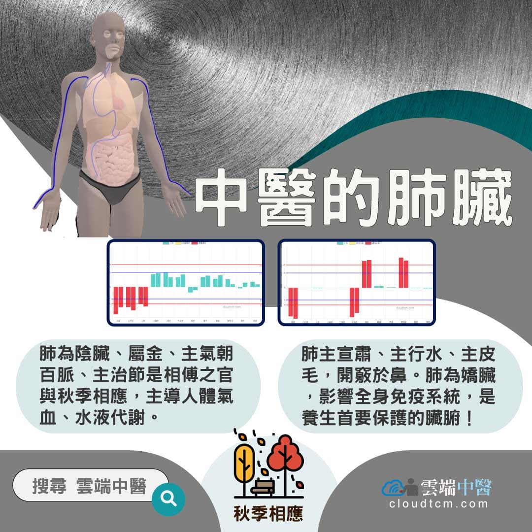 從肺經組成的經絡型態，理解中醫的「肺臟」究竟是什麼？