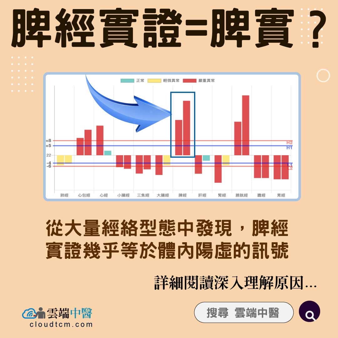 世間有脾實嗎？從經絡型態理解脾經實證的相關中醫證候！