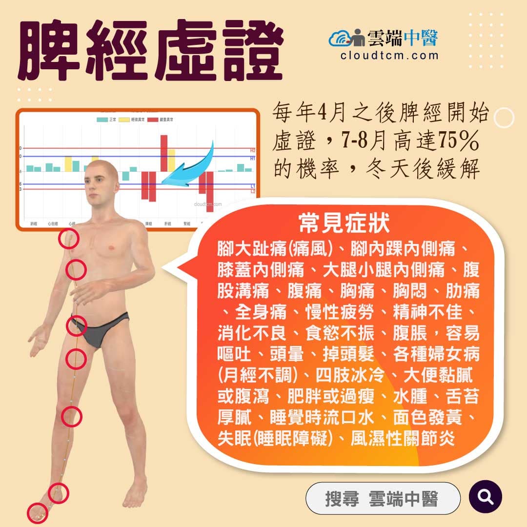 夏季濕熱與脾經氣血能量趨勢，21種症狀，7原因全面理解！