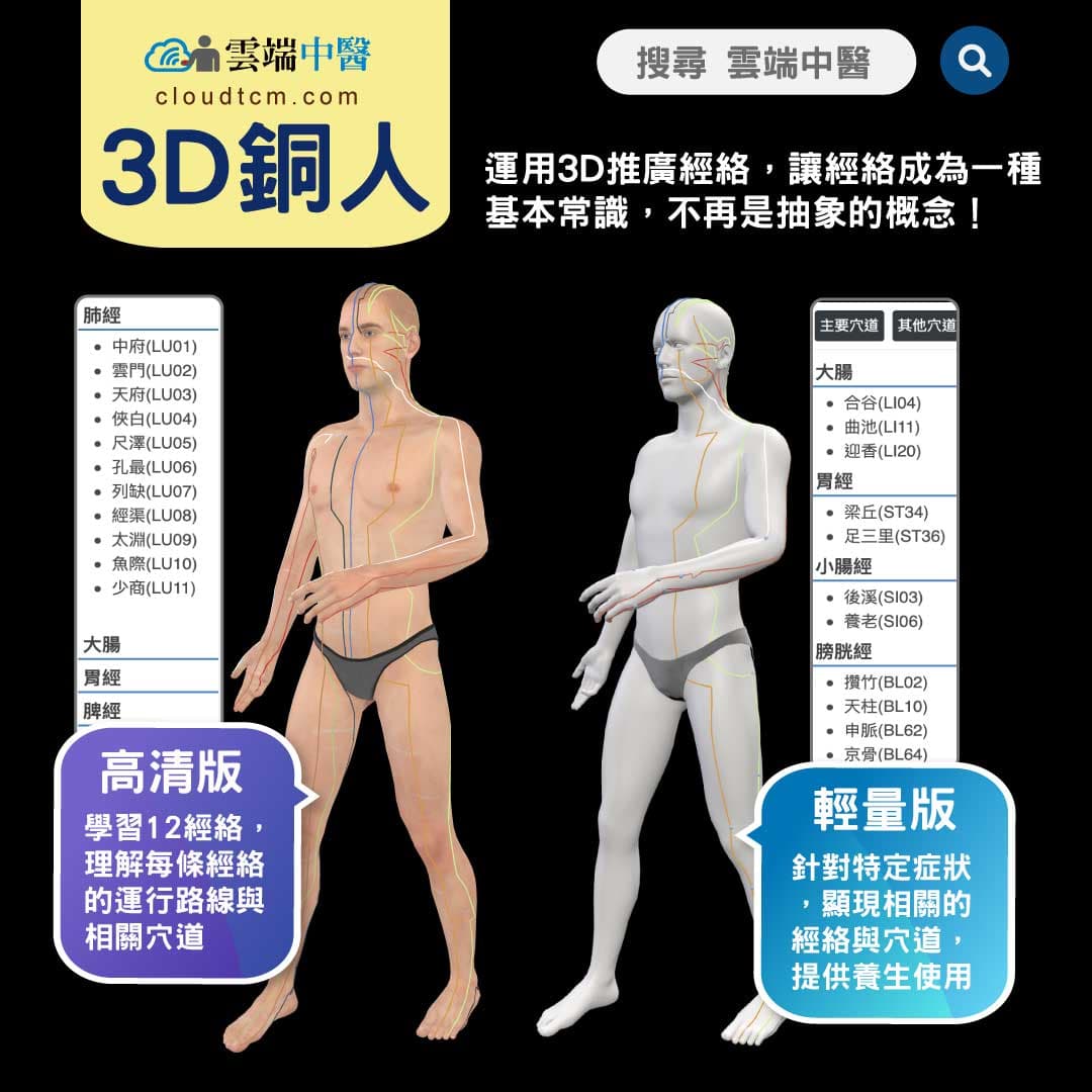 從3D銅人理解中醫經絡,穴道及對應關係(以頭痛為例)