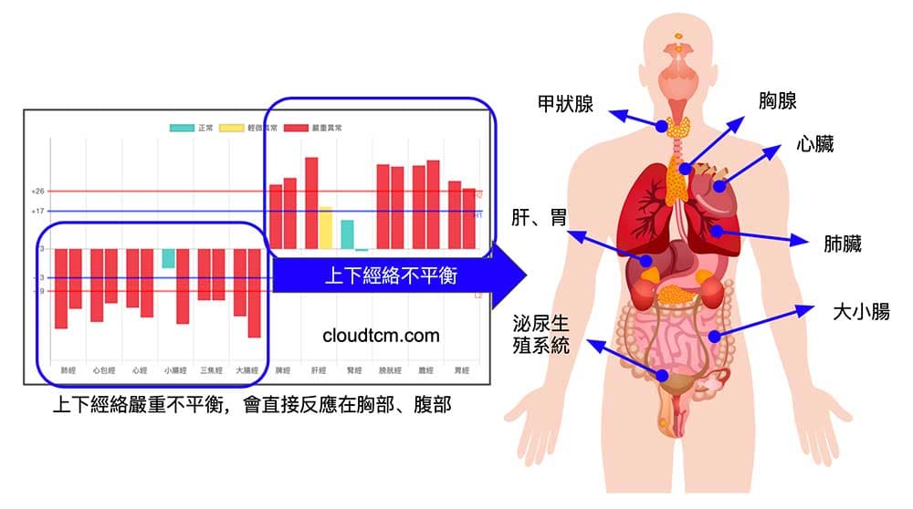 人體上下經絡不平衡時，會直接反應在胸部與腹部