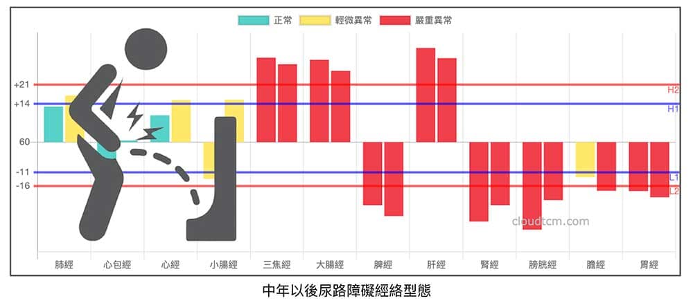 中年以後常見的各種尿路障礙的經絡型態