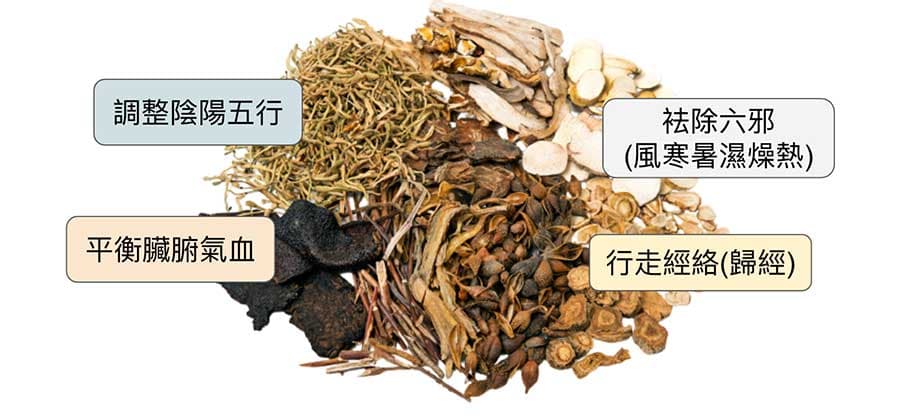 中藥具有許多西藥沒有的特質