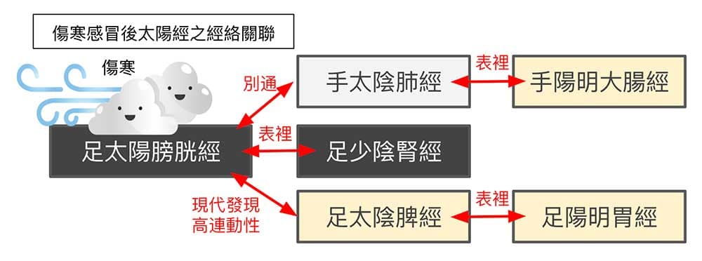 傷寒感冒後，單就太陽經影響的層面就很複雜