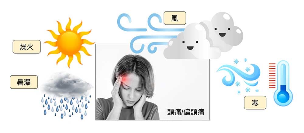 外在的六邪都有可能造成頭痛/偏頭痛