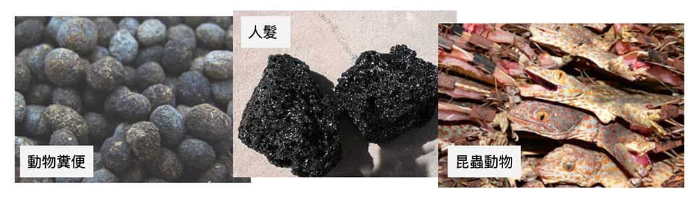 不少噁心的中藥，現代人根本不敢吃