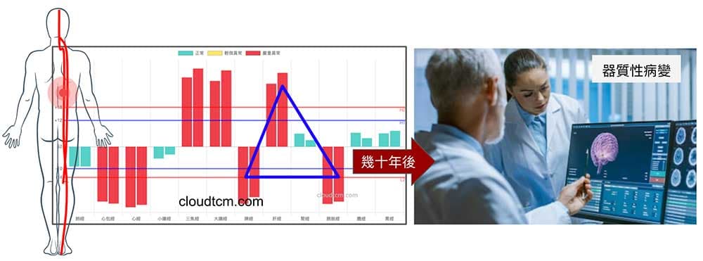 經絡氣血在異常幾十年之後，才會出現器質性病變