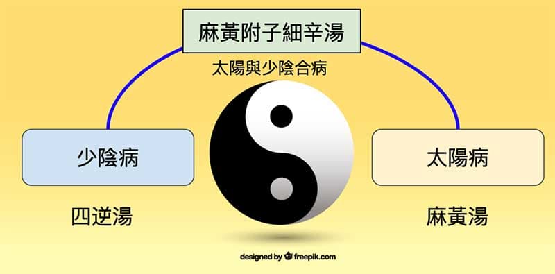 每一個方證都有所屬的陰陽屬性