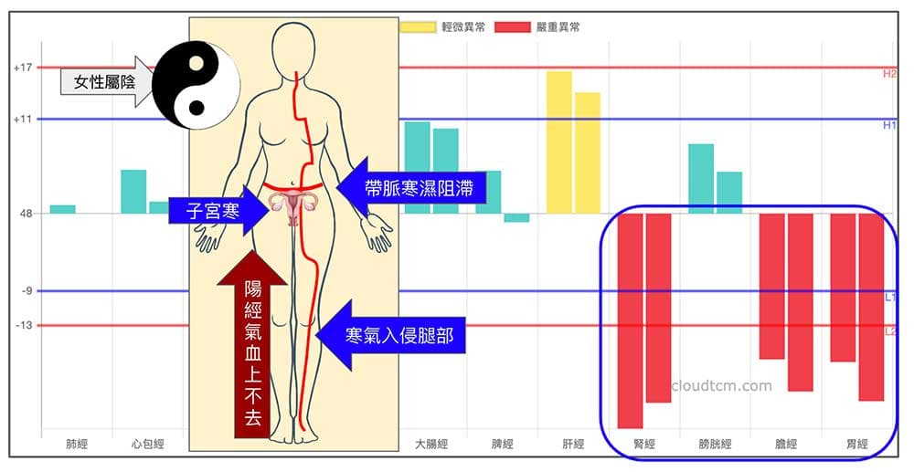 穿著清涼的女性，經常出現的經絡型態