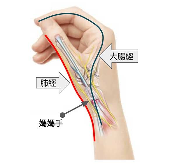 媽媽手與肺經、大腸經息息相關