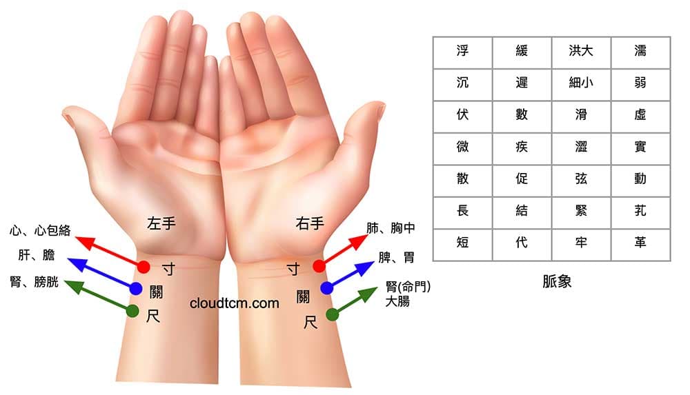 把脈時，雙手寸關尺診斷身體不同臟象的情況