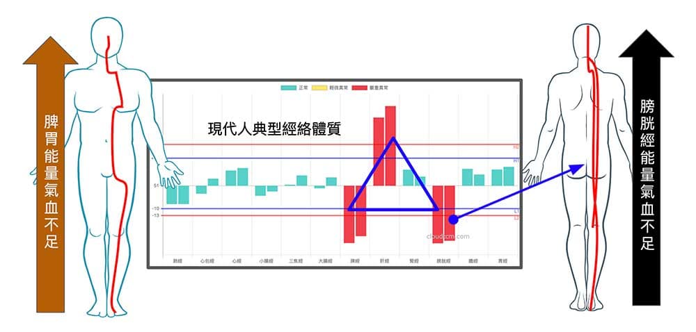 現代人的典型體質，適合運用小建中湯改善及養生