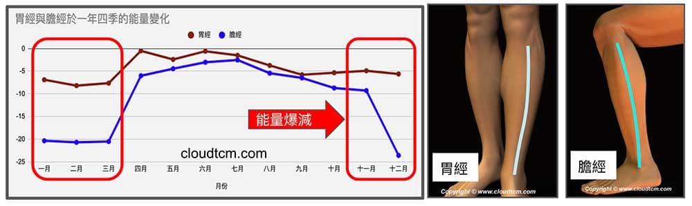 秋冬季節膽經胃經能量低下，經絡氣血不足