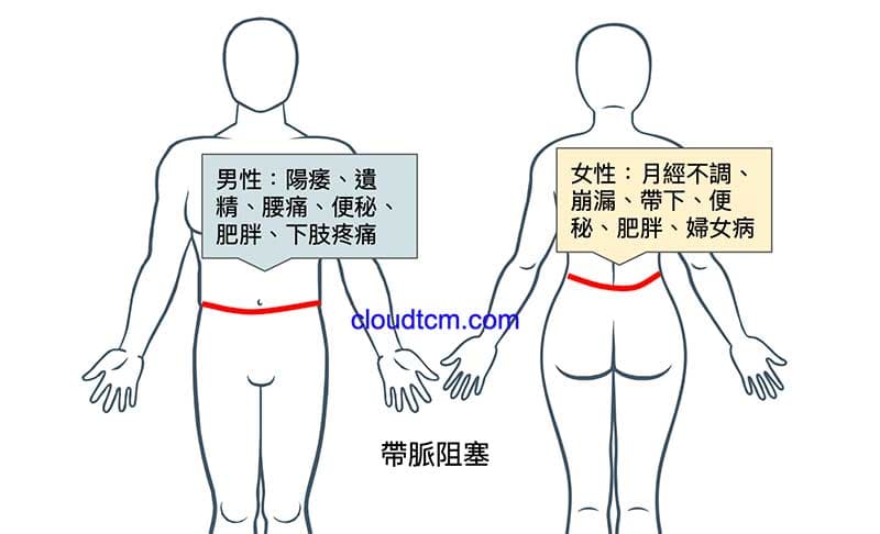 不論男女，帶脈阻塞總會導致相關疾病