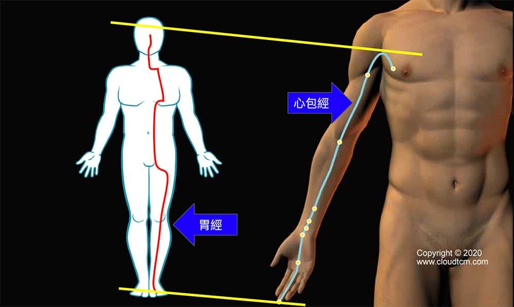 心包經與胃經之間具有臟腑別通對應關係