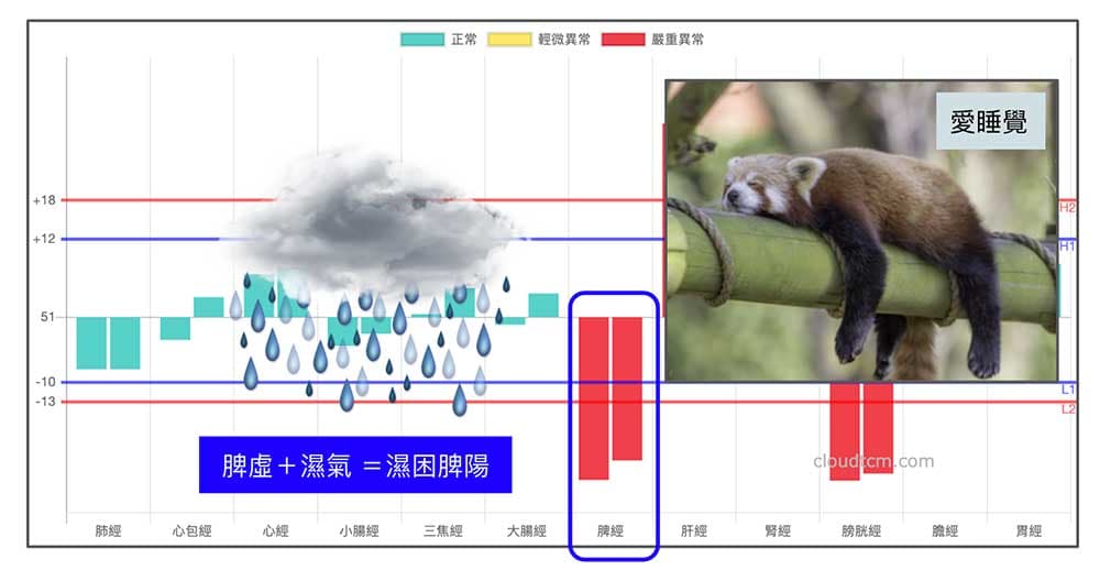 進入春夏季之後很容易因為體內脾濕而想睡覺