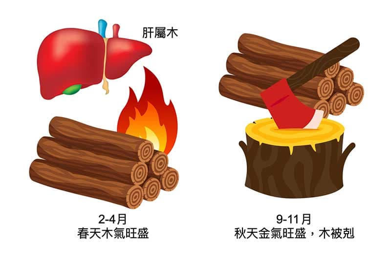 從五行的角度，一年有兩個時間點容易出現肝病