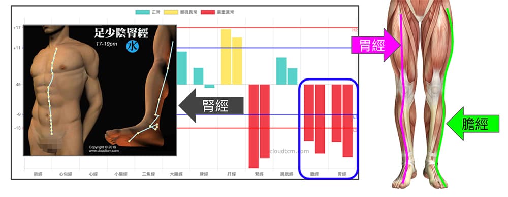 進入秋冬之後，大腿、小腿前側與腳趾也容易抽筋