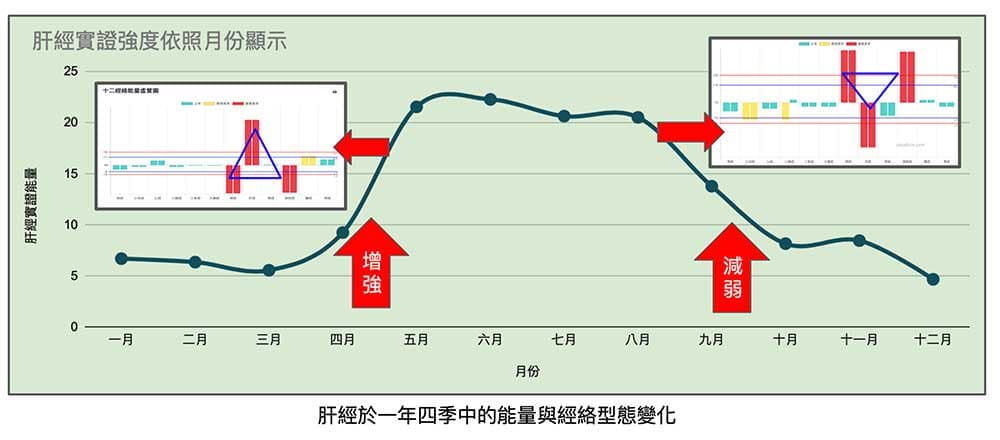 肝經雖然長年實證，卻有程度上的差別