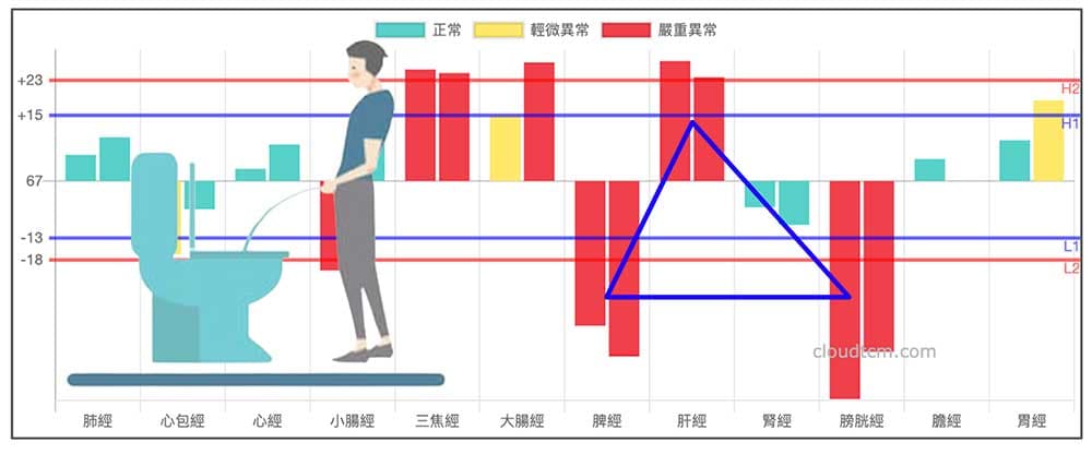 脾經與膀胱經異常，幾乎主導多數的尿路障礙現象