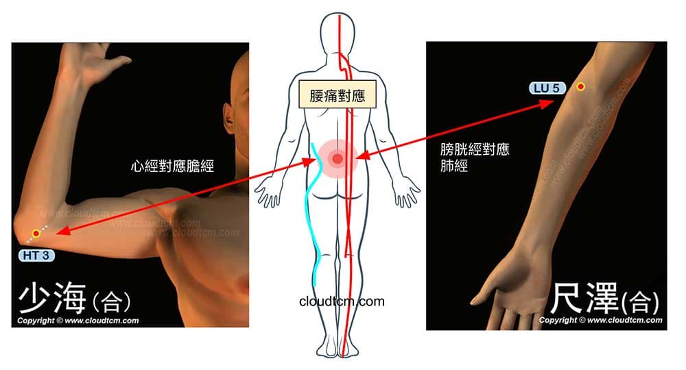 腰痛在心經與肺經上也有對應穴道