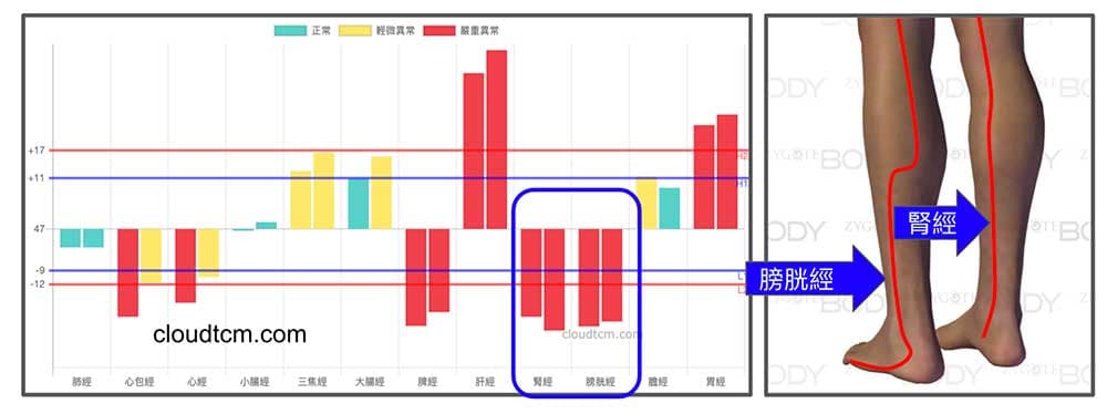 腎經與膀胱經時常同時虛證，造成小腿容易抽筋