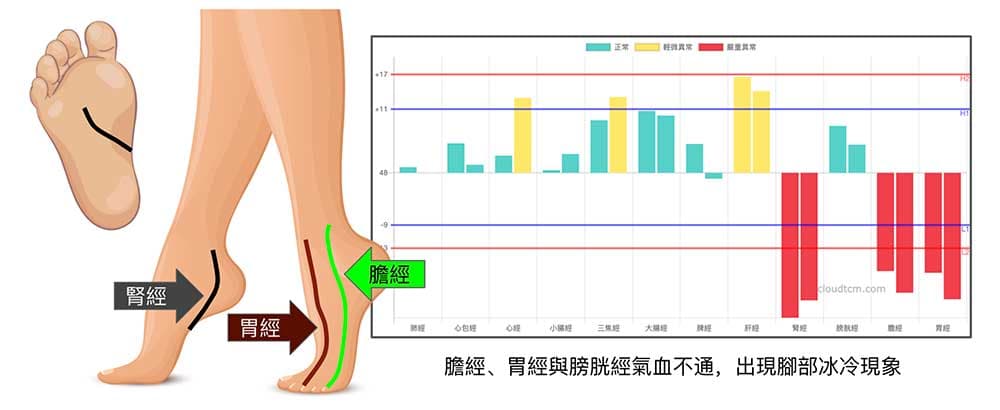 膽經、胃經與腎經氣血不通時，整個腳部都會是冰冷的