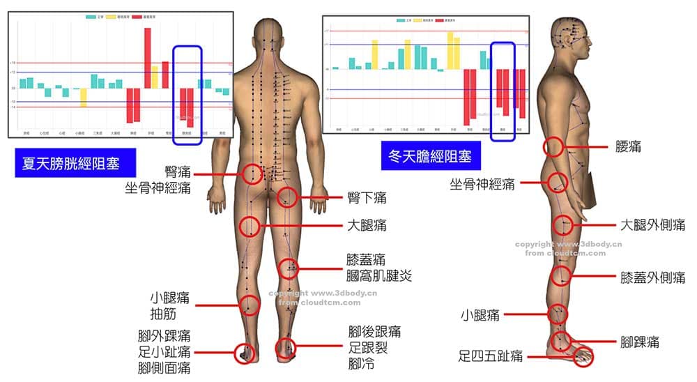 通往人體臀部的經絡，一年四幾乎都是嚴重氣血阻塞
