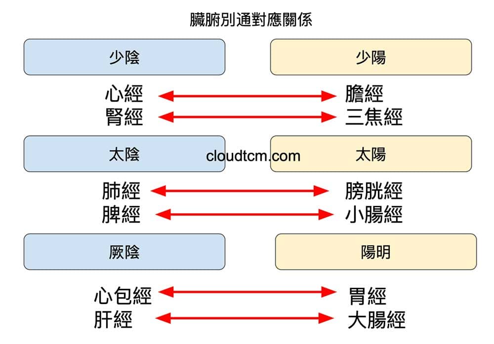 臟腑別通關係是基於經絡陰陽的對應關係所產生