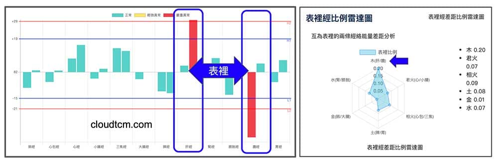 透過表裡雷達圖，可以清楚看出表裡經能量異常