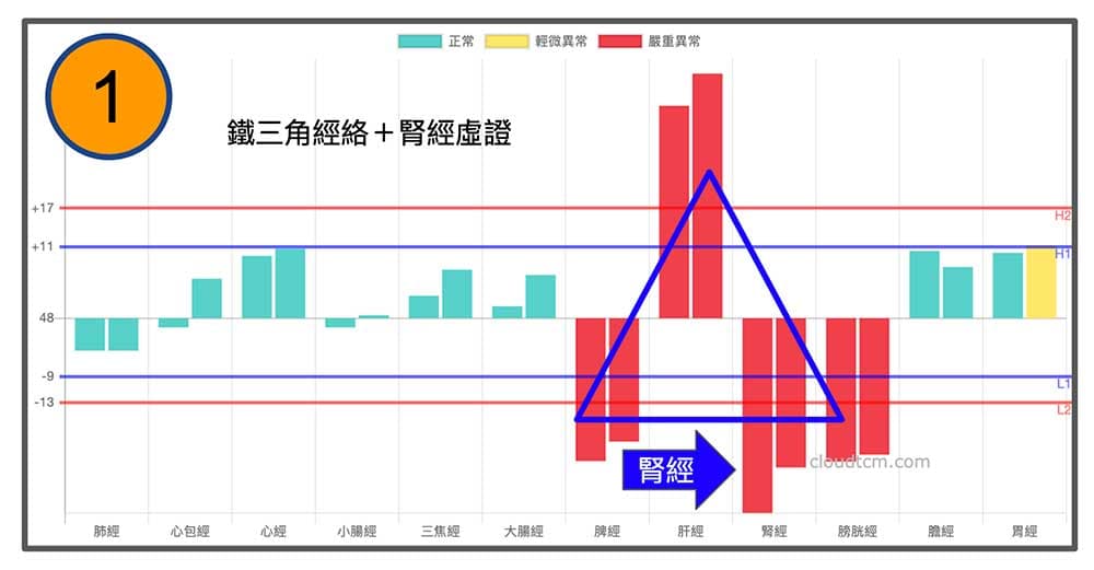 鐵三角經絡加上腎經虛證，是春夏期間最常出現的經絡型態現象