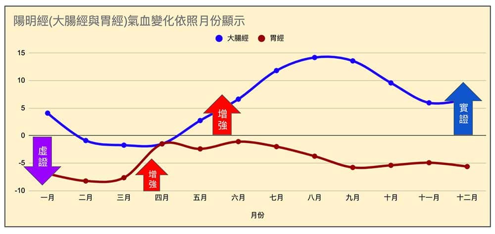陽明經(大腸經與胃經)的能量趨勢變化