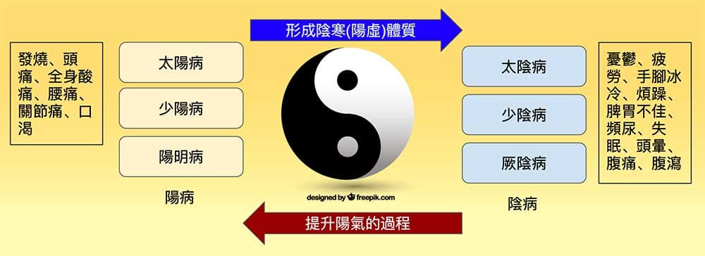在排傷寒的過程中，將不斷出現感冒現象