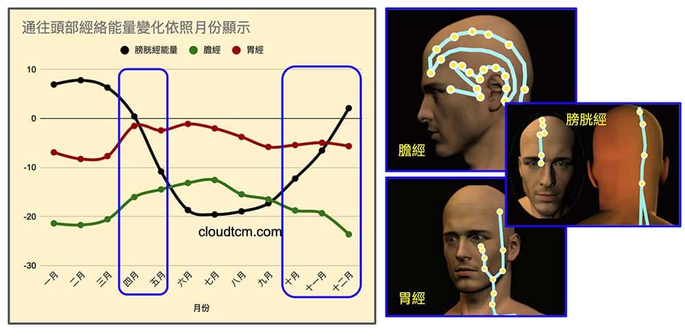 通往頭部的經絡主要是膽經、胃經與膀胱經