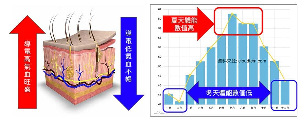 冬天時體能數值大幅降低