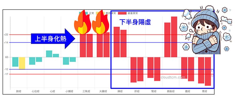 一派陽虛化熱經絡型態