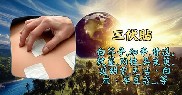 三伏貼的組成，都是熱性藥物居多