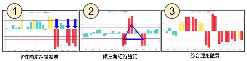 從大量現代人的經絡數據，歸納出三種經絡體質