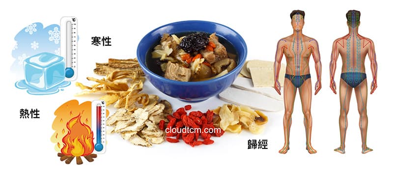 中藥具有寒熱與歸經特殊概念