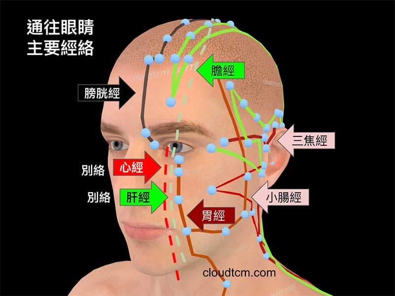 通往眼睛主要經絡，總共有7條